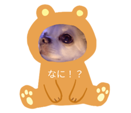 609100950
