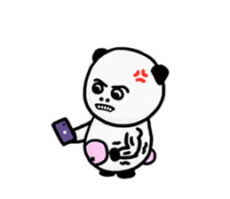 609105080