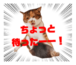 609121849
