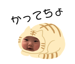 60912203