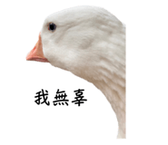 609126781