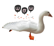 609126782