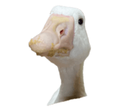 609126788