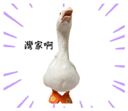 609126791