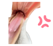 609126795