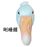 609126799