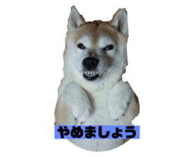 609191432