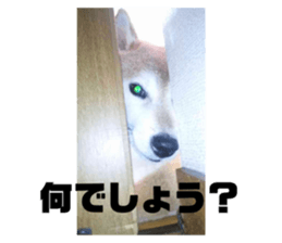 609191436