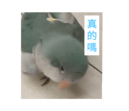609230226