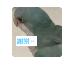 609230227