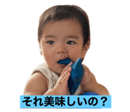 609353587
