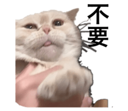 609382416