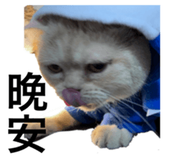609382421