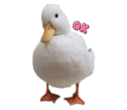 609383109