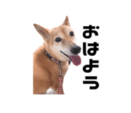 609436857