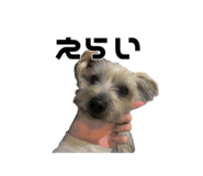 609436865