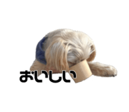 609436867