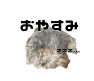 609436879