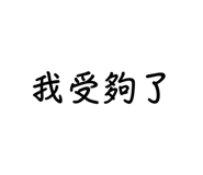 609541664
