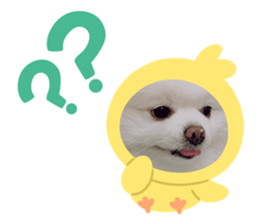 609543597