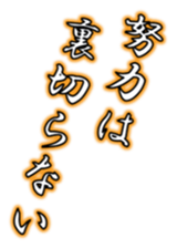 609555486