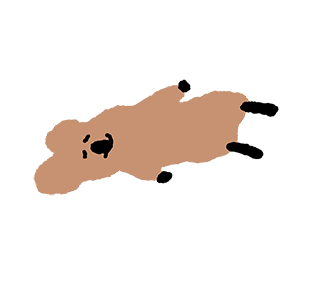 สวัสดี Quokka มาแล้ว! รูปที่ 2