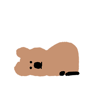 สวัสดี Quokka มาแล้ว! รูปที่ 17