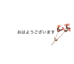 609572062