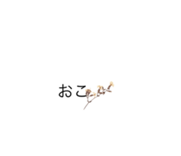 609572065
