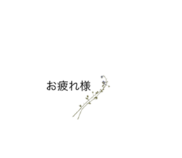 609572067
