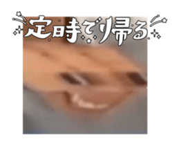 609580803