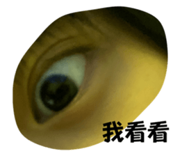 609584272