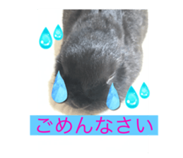 609635376