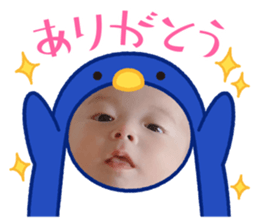 609662753