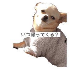 609713647