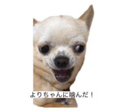 609713650