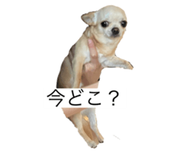 609713651