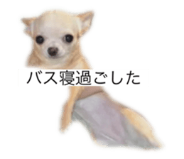 609713656