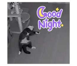 609715437