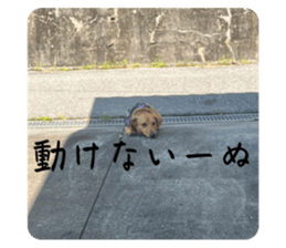 609771295