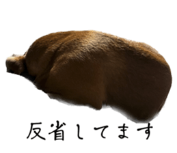 609771312