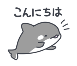 609796960