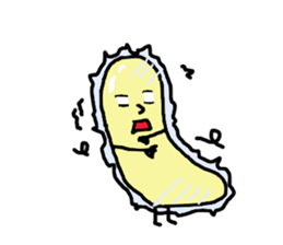 6098209