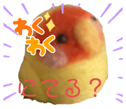 609909186
