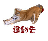 610060929