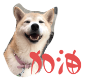 610060930
