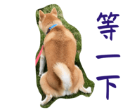 610060932