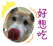 610060936