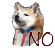 610060938