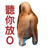 610060940